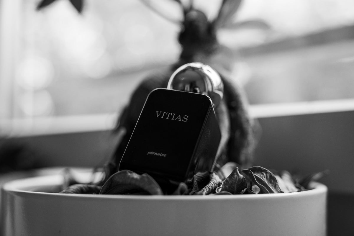 Black VITIAS bottle in a bowl with shells beside a softly lit window.