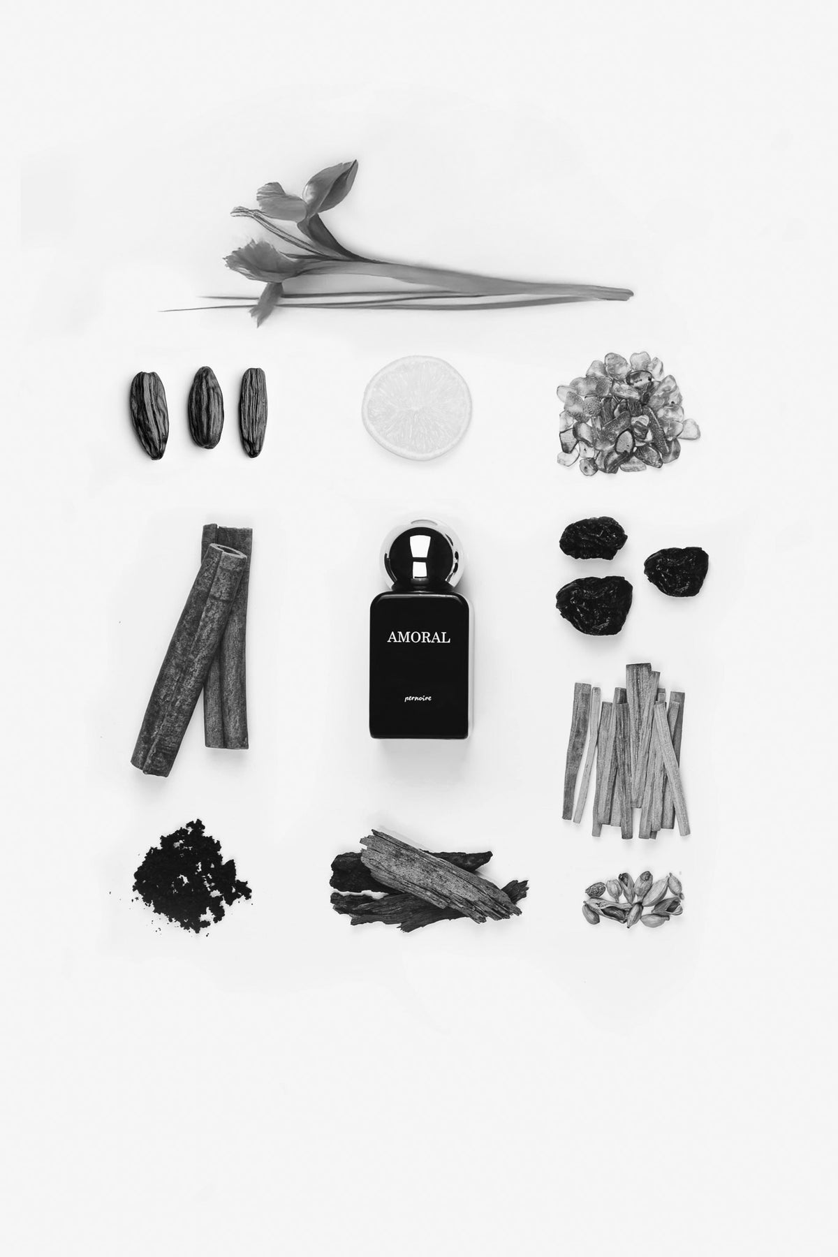 Black AMORAL bottle surrounded by citrus, tea leaves, spices, plums, a flower and wood on white.