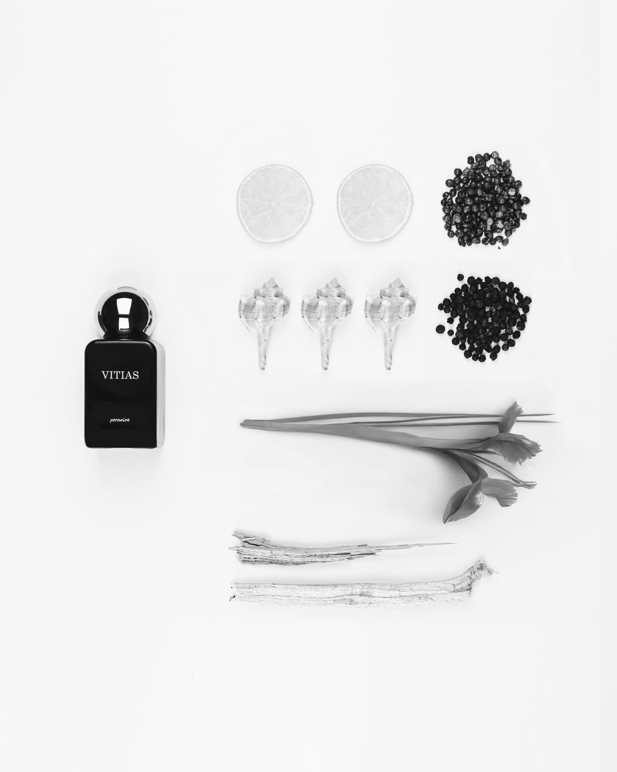 Black VITIAS bottle with citrus slices, peppercorns, shells, a flower and pieces of wood on white.
