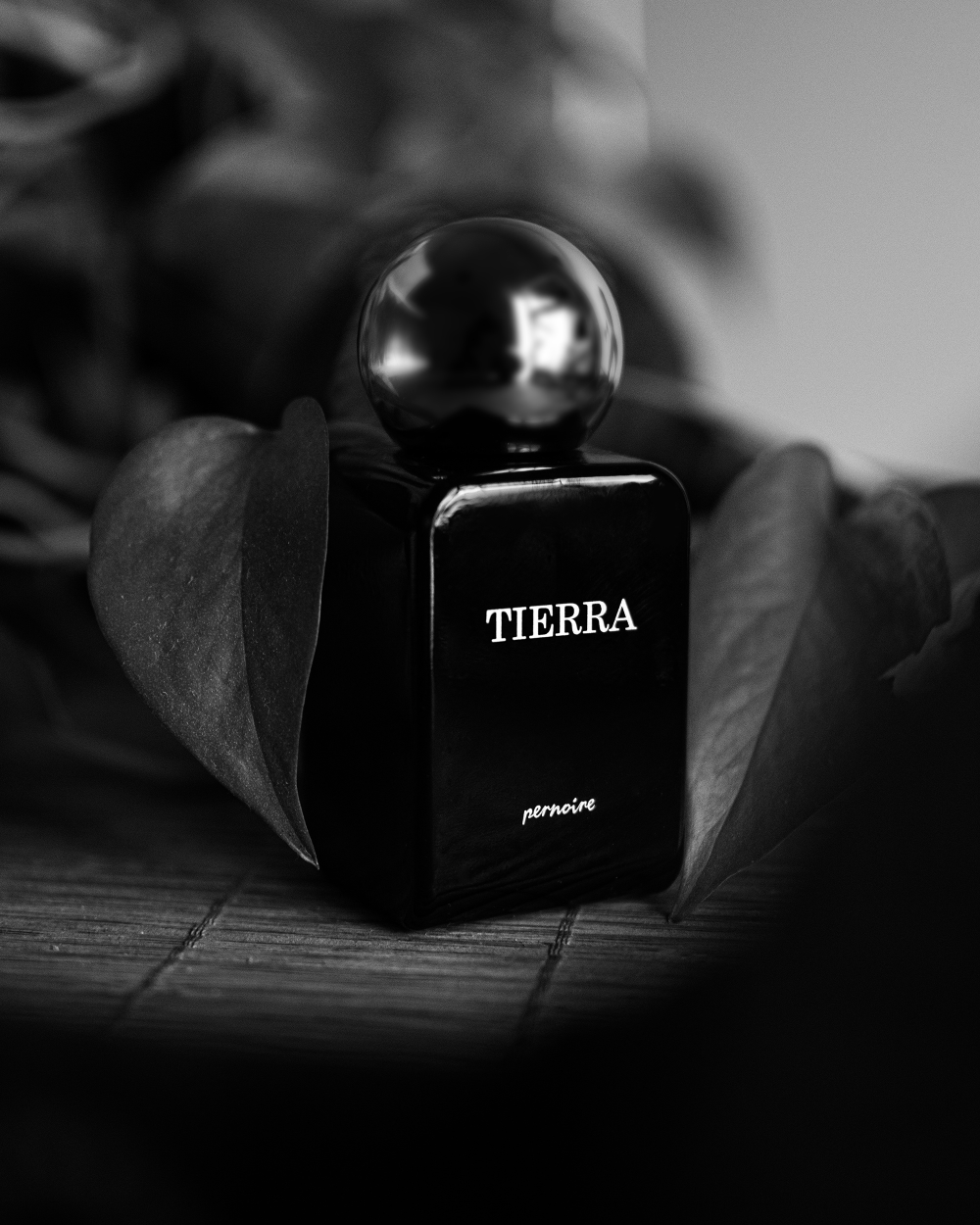 Tierra